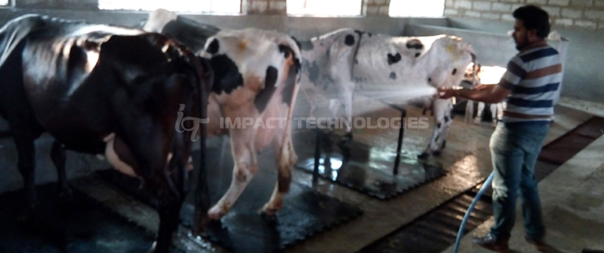 impact technologies - Dairy Dung Cleaning Pump in bangalore karnataka