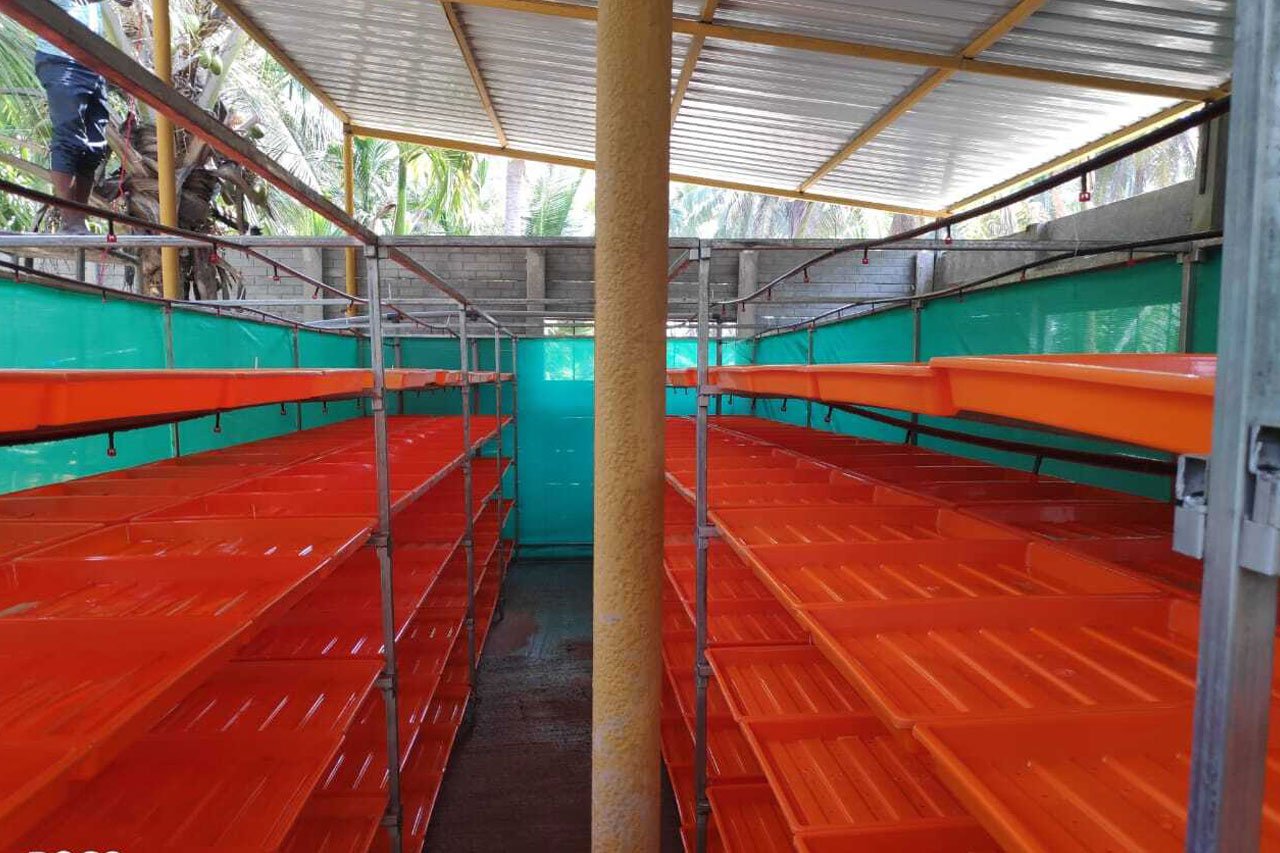 Fully Automatic Hydroponic Machine