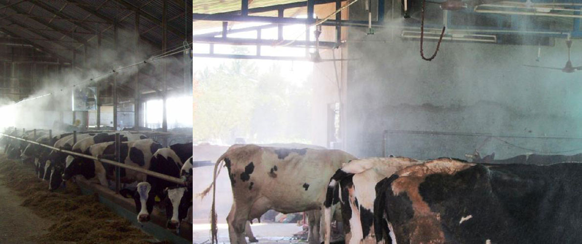 animal (dairy) cooling system, impact technologies - Dairy Dung Cleaning Pump in bangalore karnataka
