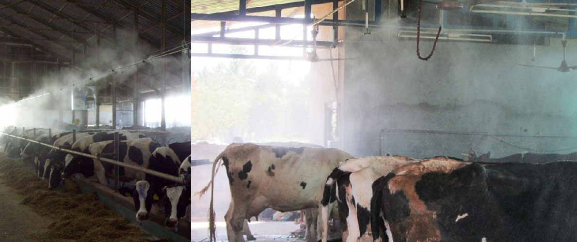 Livestock best sale cooling misters