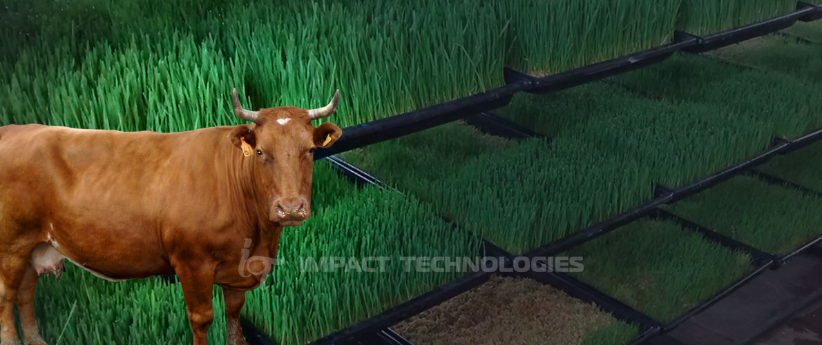 impact technologies - milking machines in bangalore karnataka